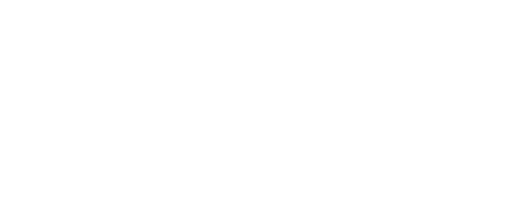 スマート大臣〈マイナンバー〉